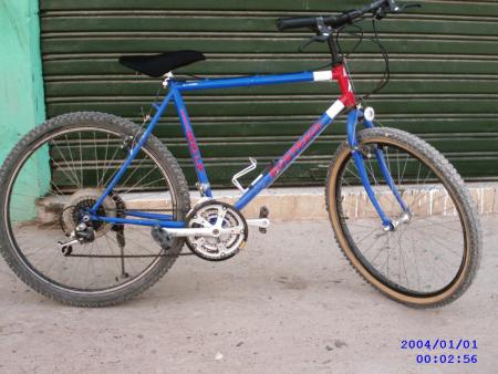 22 alf
